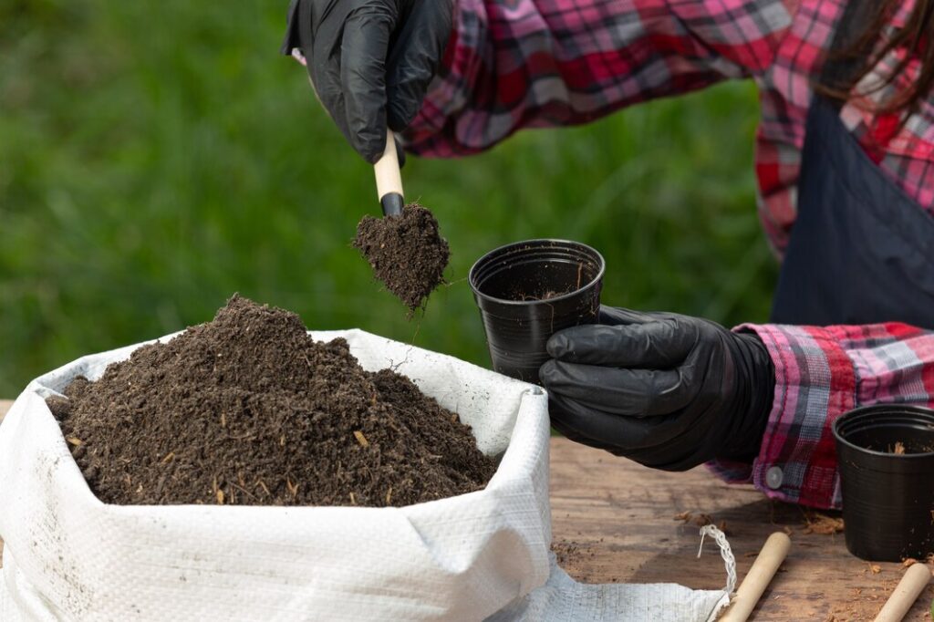 organic fertilizer