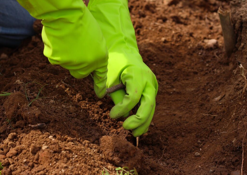 top soil