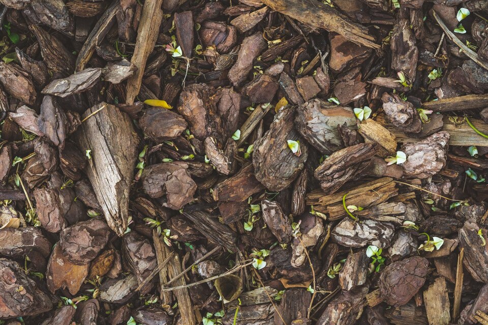 bark mulch