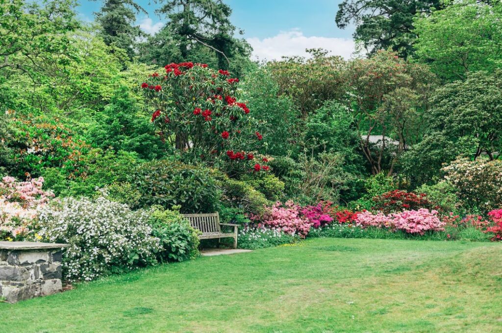 garden