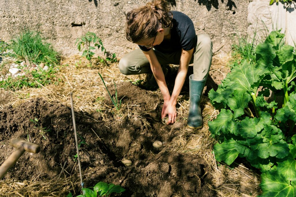 topsoil