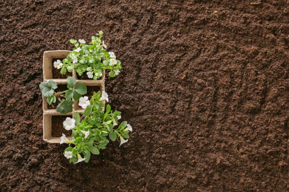 garden soil